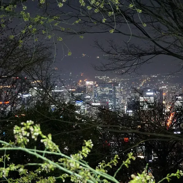 로열 나연스튜디오 홈타이 제휴업체 이미지