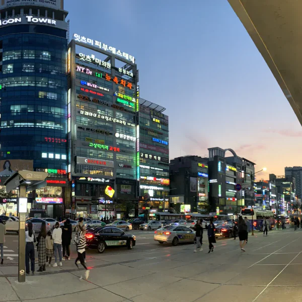 프리미엄 원영하우스 테라피 안내 이미지