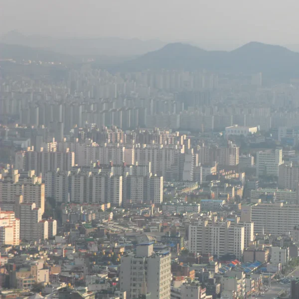 로열 유나센터 테라피 안내 이미지