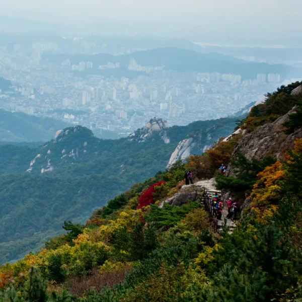 힐링 로아룸 마사지 안내 이미지
